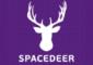 АнтиШкола Space Deer